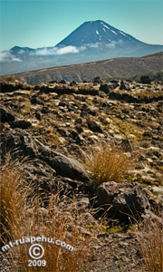 Landscape Around Mt Ruapehu